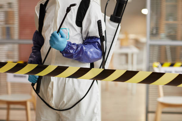 Professional Sewage Cleanup technician working in Gales Ferry, CT